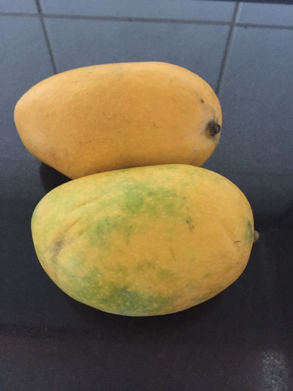Chaunsa variety of Mango.